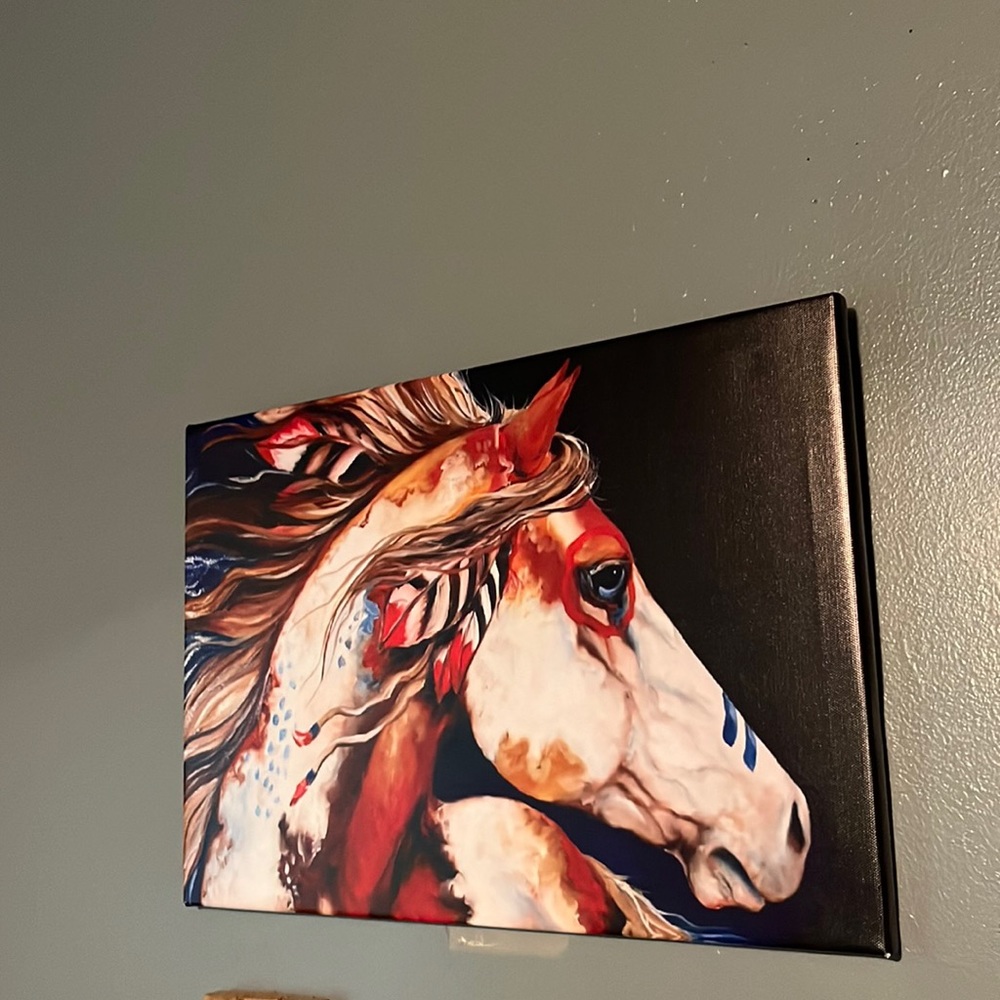 Horse canvas art for home